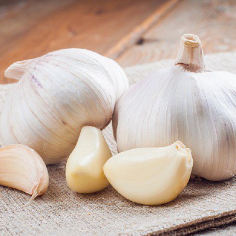 Cửa lưới chống muỗi